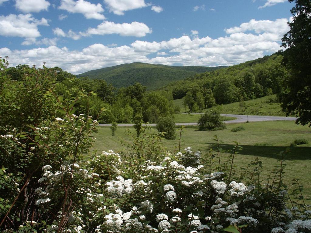 Margaretville Mountain Inn B&B エクステリア 写真